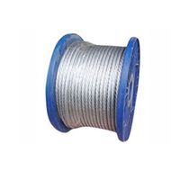 ເຊືອກສາຍເຫຼັກພາກຮຽນ spring